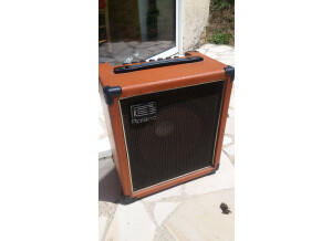 Roland Cube 60 Vintage (5309)
