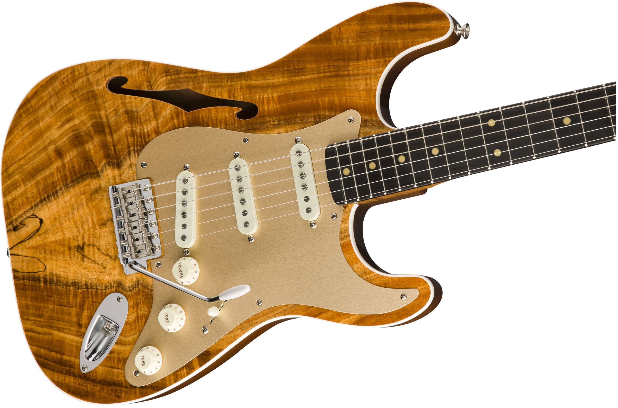 9235000489 gtr cntbdyright 001 nr