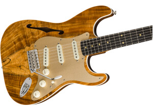 9235000489 gtr cntbdyright 001 nr