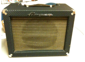 Ampeg J12t