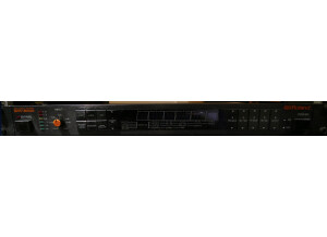 Roland SRV-2000 (5453)