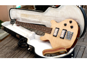 Gibson Les Paul Money Bass (52957)