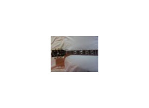 Gibson ES-345 TDSV [1966-1969] (33520)