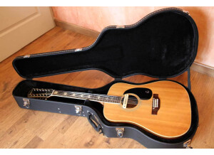 Epiphone FT-165