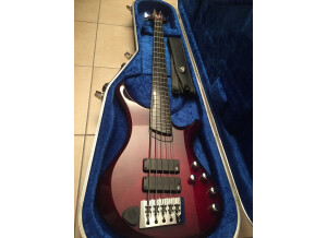 Vigier Passion IV 5 Strings (63352)