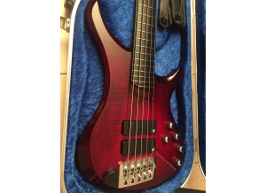 Vigier Passion IV 5 Strings (46511)