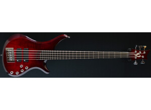 Vigier Passion IV 5 Strings (11449)