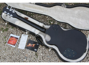 Gibson Les Paul Standard Premium Plus (76715)