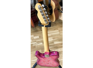 Tokai breezysound paisley (17826)