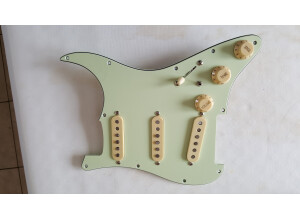 Fender Custom Shop David Gilmour Signature Stratocaster NOS (84809)
