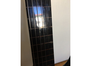 Ibanez SC420F Yannick Robert (73738)