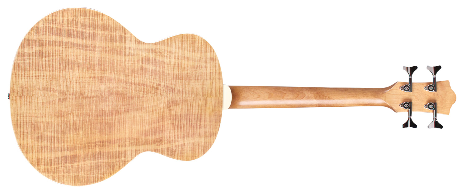 jumbo junior bass back