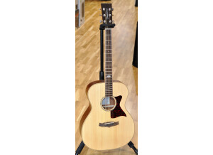 Tanglewood TW170 SS (6660)