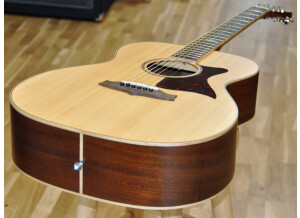 Tanglewood TW170 SS (34266)