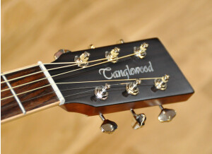 Tanglewood TW170 SS (63707)