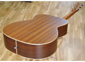 Tanglewood TW170 SS (42709)