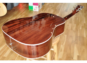 Cort Earth300SS (78566)