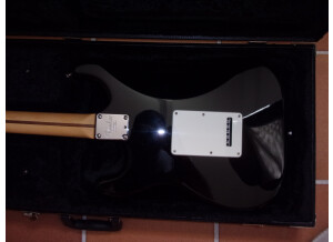 Fender American Professional Stratocaster HSS Shawbucker (21260)
