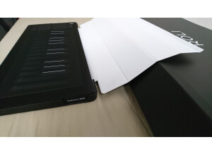ROLI Seaboard Rise 25 (31631)