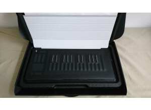 ROLI Seaboard Rise 25 (79563)