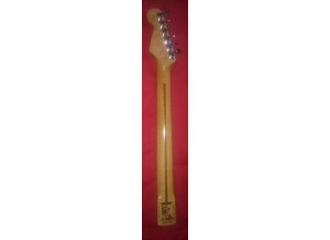 Warmoth Stratocaster (83794)