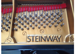Steinway & Sons O180 (63603)