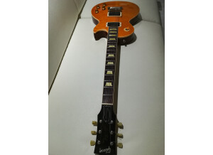 Gibson Les Paul Classic Premium Plus (33791)