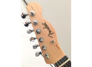 Fender Standard Telecoustic Paisley (77724)
