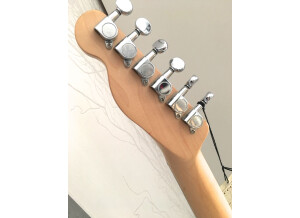 Fender Standard Telecoustic Paisley (39015)