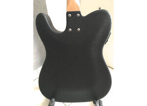 Fender Standard Telecoustic Paisley (67986)