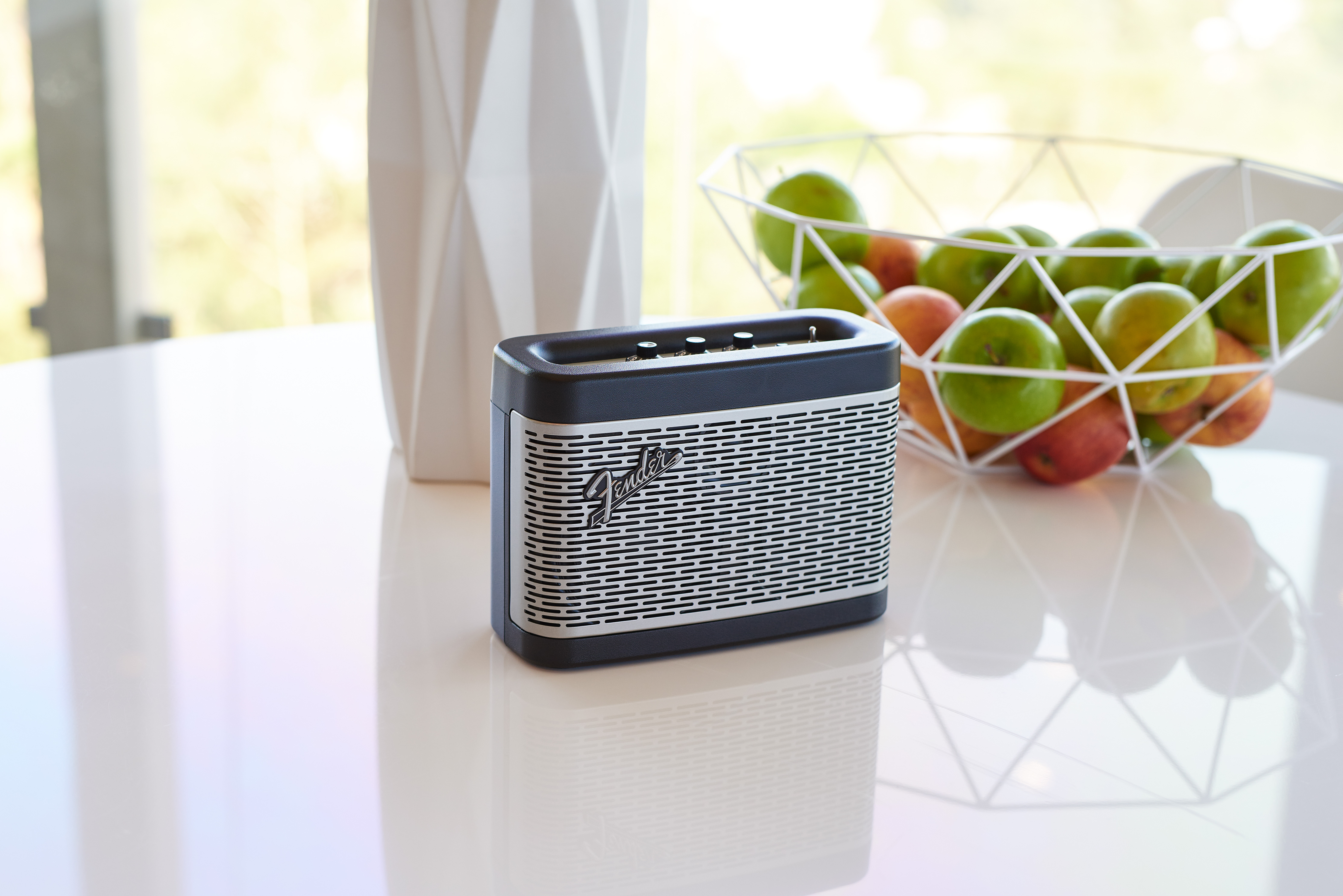 Fender Newport : Fender BTSpeaker Newport Lifestyle 17 1