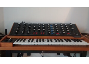 Moog Music Minimoog Voyager Old School (14223)