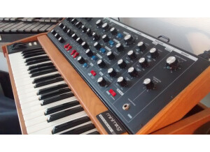 Moog Music Minimoog Voyager Old School (95244)