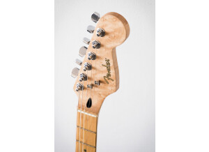 Fender Special Edition Lite Ash Stratocaster (42317)