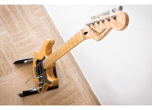 Fender Special Edition Lite Ash Stratocaster (82116)