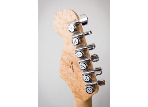 Fender Special Edition Lite Ash Stratocaster (17431)