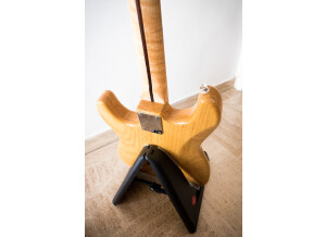 Fender Special Edition Lite Ash Stratocaster (22459)
