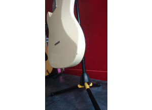 Fender 60th Anniversary Telecaster (2011) (38095)