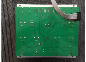 Qu-Bit Electronix Rhythm (48597)