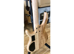 Cort Action DLX (8106)