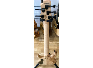 Cort Action DLX (37697)