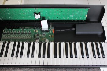 Dave Smith Instruments Prophet Rev2 : Prophet Rev2 2tof 016.JPG Dave Smith Instruments Prophet Rev2 : Prophet Rev2 2tof 016.JPG