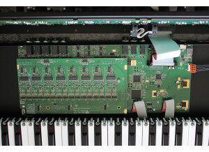 Prophet Rev2 2tof 017.JPG