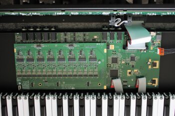 Dave Smith Instruments Prophet Rev2 : Prophet Rev2 2tof 017.JPG Dave Smith Instruments Prophet Rev2 : Prophet Rev2 2tof 017.JPG