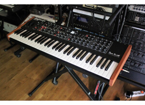 Prophet Rev2 2tof 003.JPG