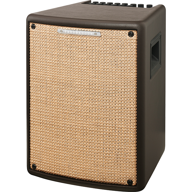 Ibanez T80II : Ibanez T80II (33778)