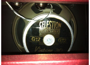rivera chubster 40 combo 197508