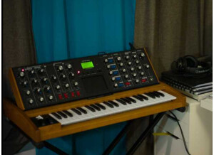 Moog Music Minimoog Voyager Performer Edition (99168)