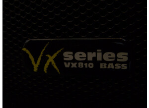 Hartke VX810