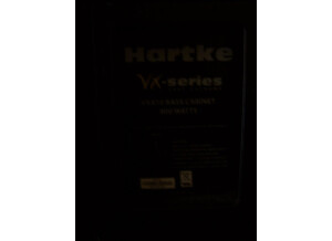 Hartke VX810